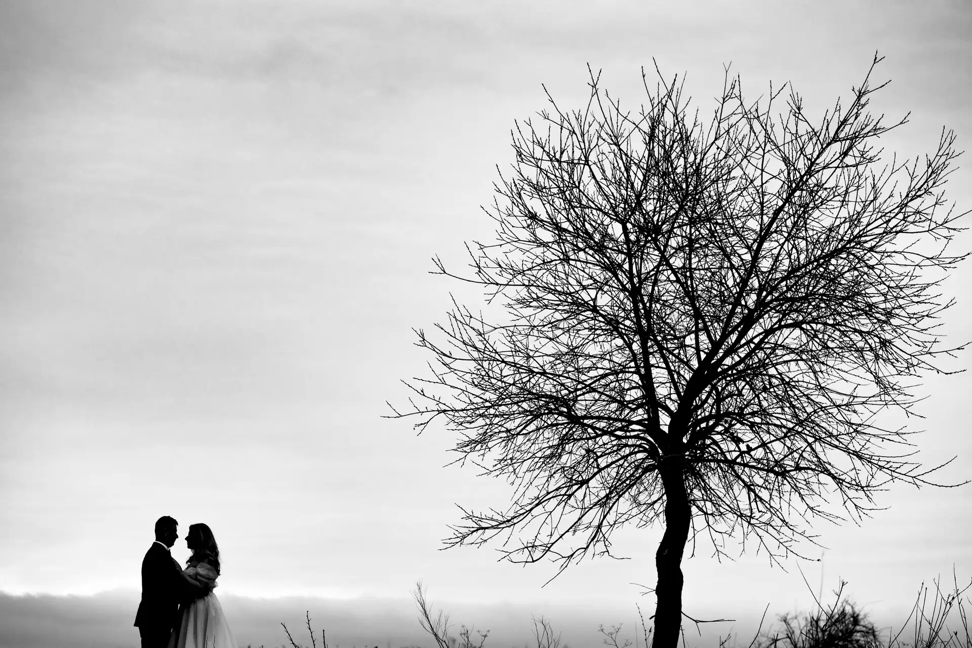 Fotograf de Nunta Ploiesti 16