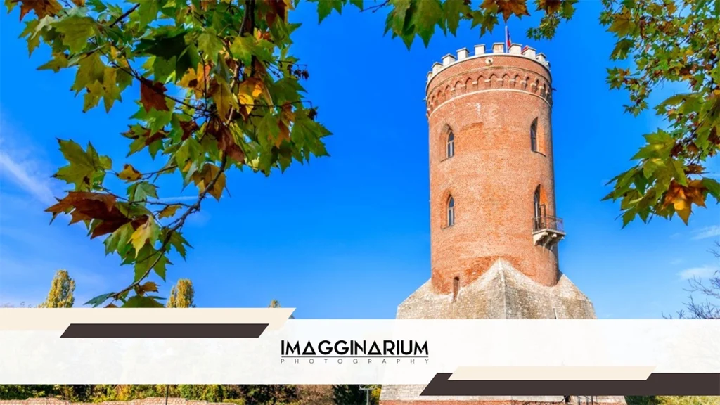 ședințe foto de nuntă în Târgoviște, imagginarium