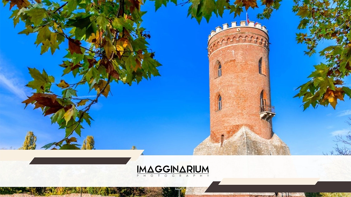 ședințe foto de nuntă în Târgoviște, imagginarium